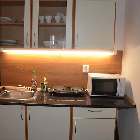 Guest house Zlaty Hrozen 3*