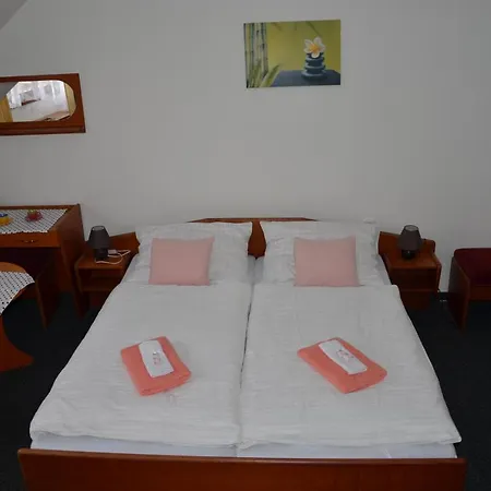 Zlaty Hrozen Guest house Ceska Lipa